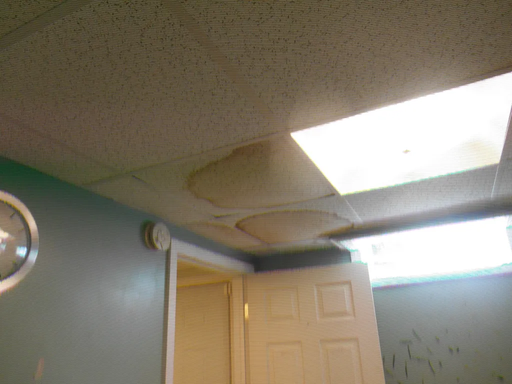 Water-stained ceiling tiles