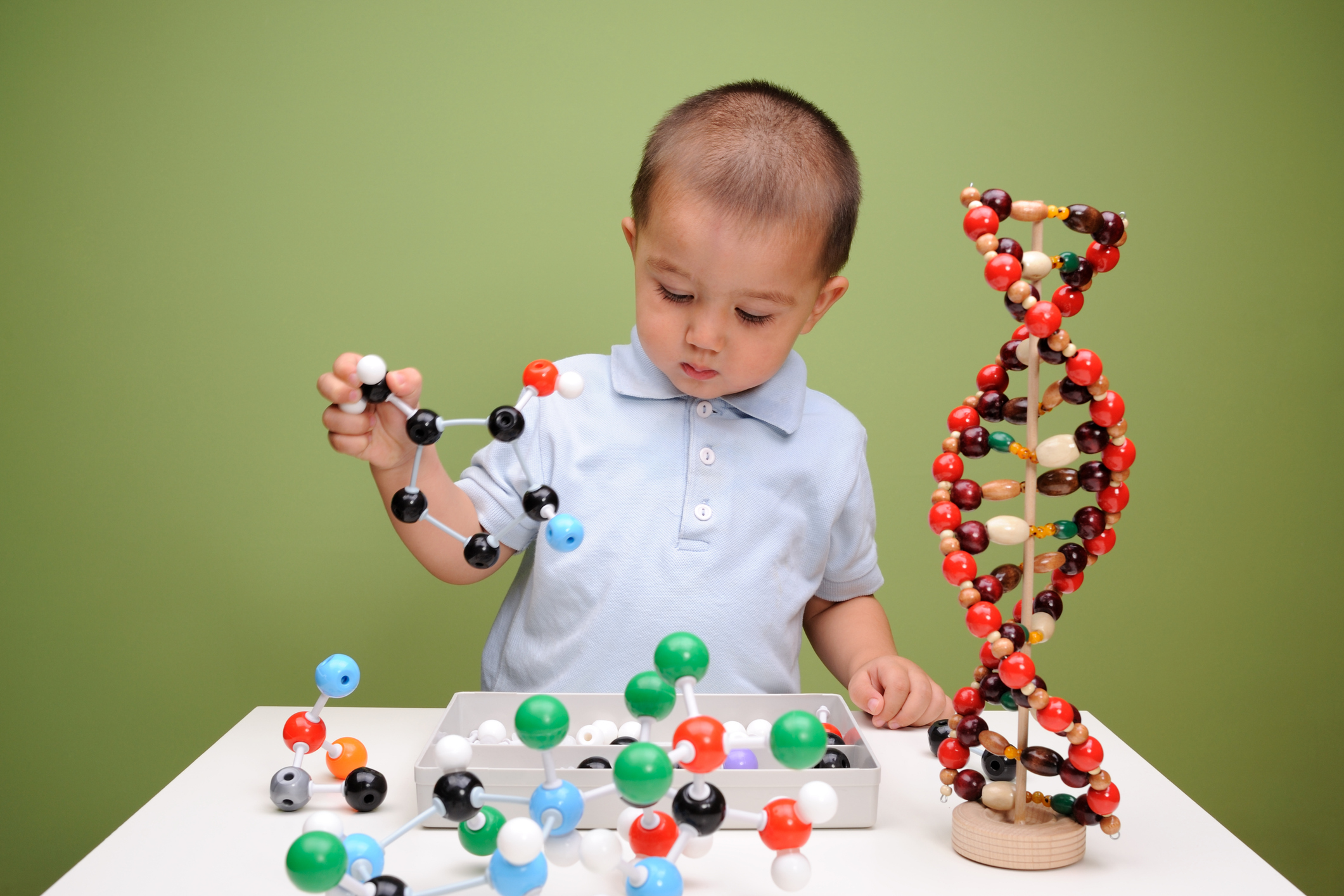 Child looking at DNA model.