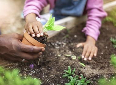 Child planting a flower in a garden