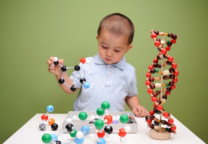 Child looking at DNA model.