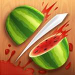 image of app fruit ninja