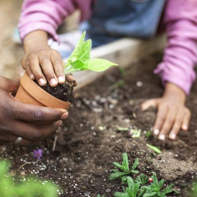 Child planting a flower in a garden